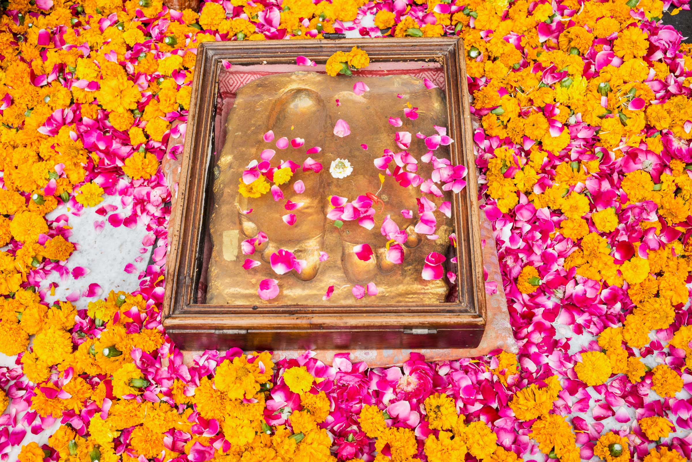 A.C. Bhaktivedanta Swami Prabhupada Impression, Vrindavan, India, 2016